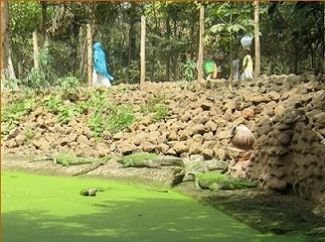 Kachikally crocodile pool